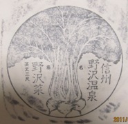 野沢菜