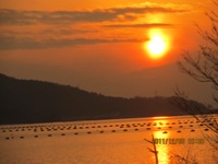 女川町の夕焼け